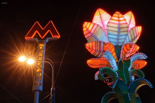 ������ ������