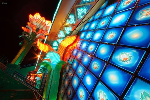 ������ ������