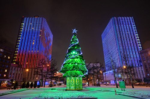 ������ ������