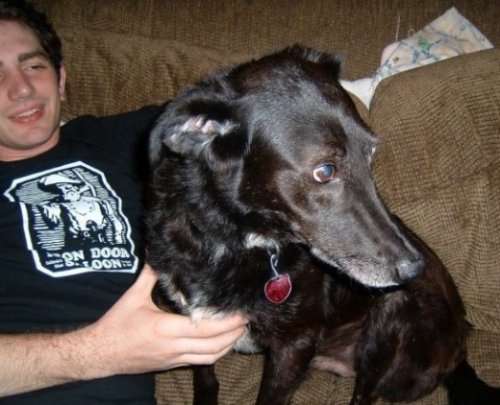 ���� ����