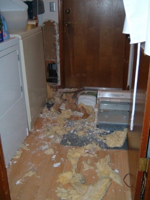 ���� ����