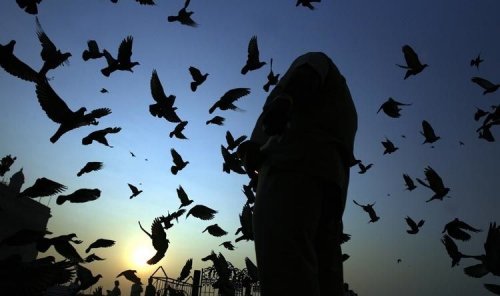 ������ ���� 2008