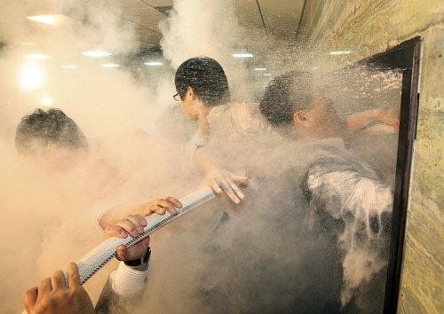 ������ ���� 2008