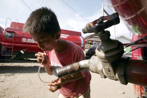 ������ ���� 2008