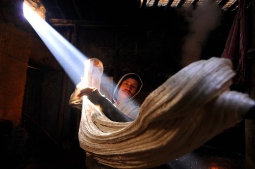 ������ ���� 2008