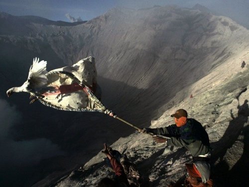 ������ ���� 2008