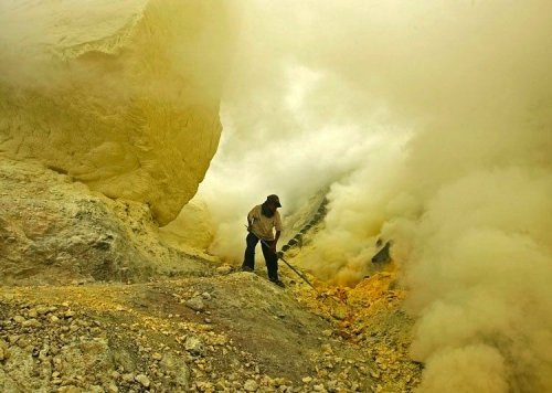 ������ ���� 2008