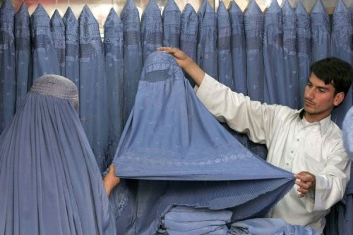 ������ ���� 2008