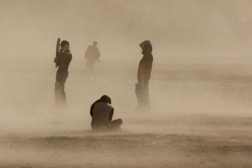 ������ ���� 2008