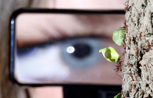 ������ ���� 2008