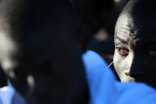 ������ ���� 2008