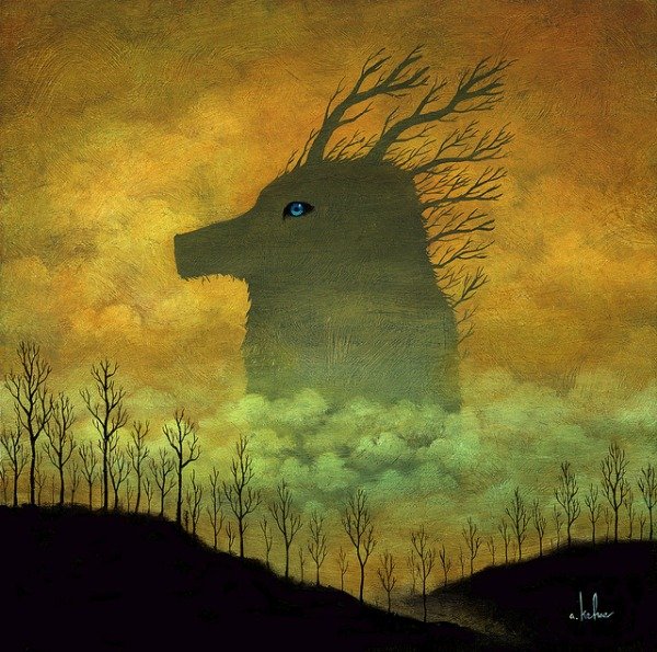 Andy Kehoe