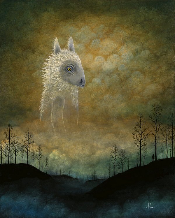 Andy Kehoe