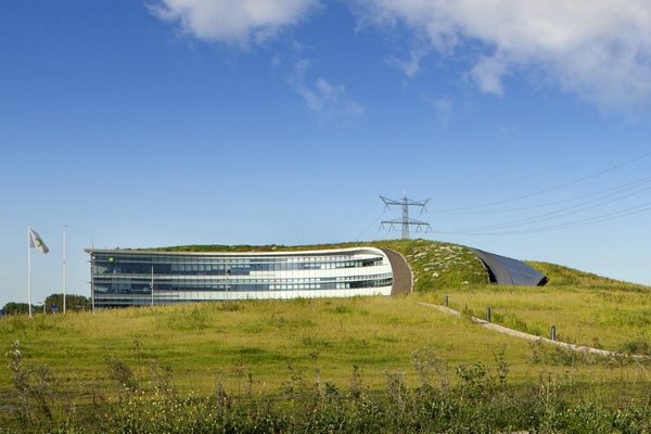 ���� ���� � ���������