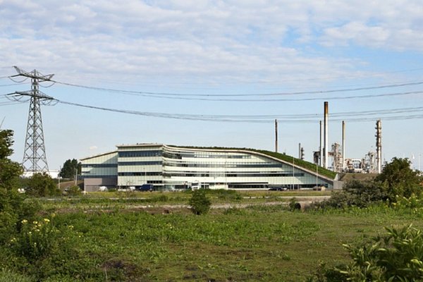 ���� ���� � ���������