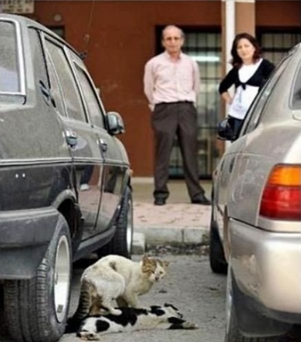 ������� ������