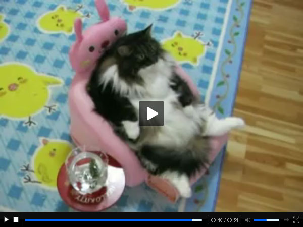 ��� ������� ���������