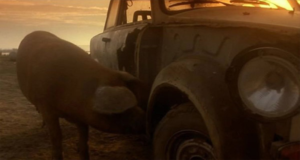 �������� ������ ����� ������