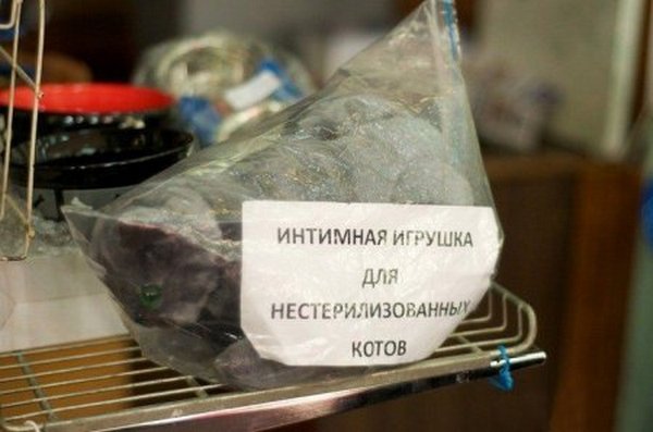 ������� ���...