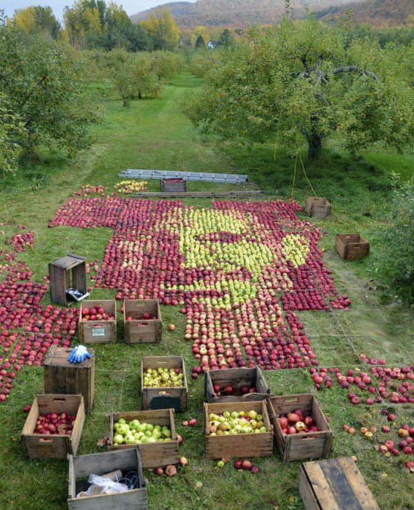 ������� �� �����