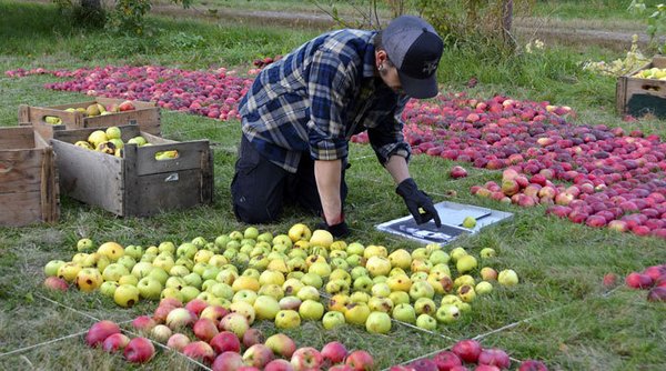 ������� �� �����