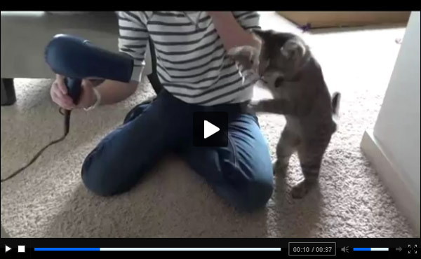 ������� � ���