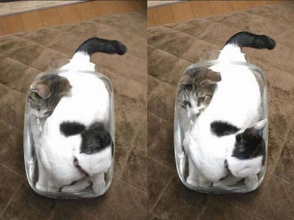 ���������������� ������