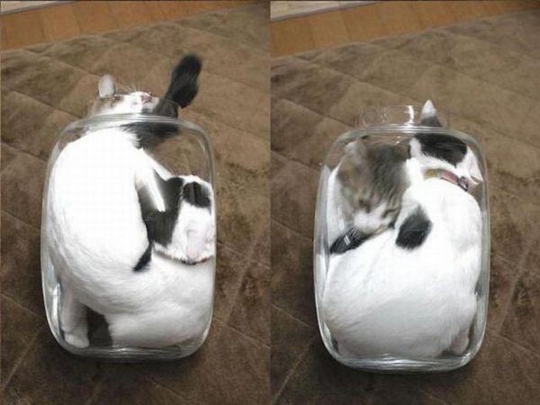 ���������������� ������