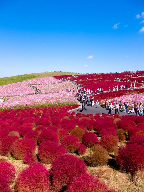 ������ �������