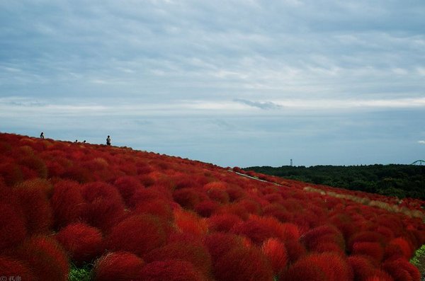 ������ �������