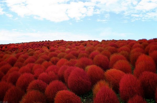 ������ �������