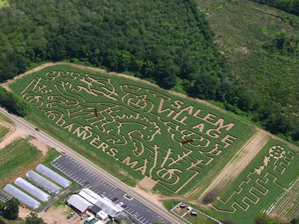 ������� ��������