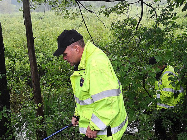 Ужасная кукуруза Ужасная кукуруза