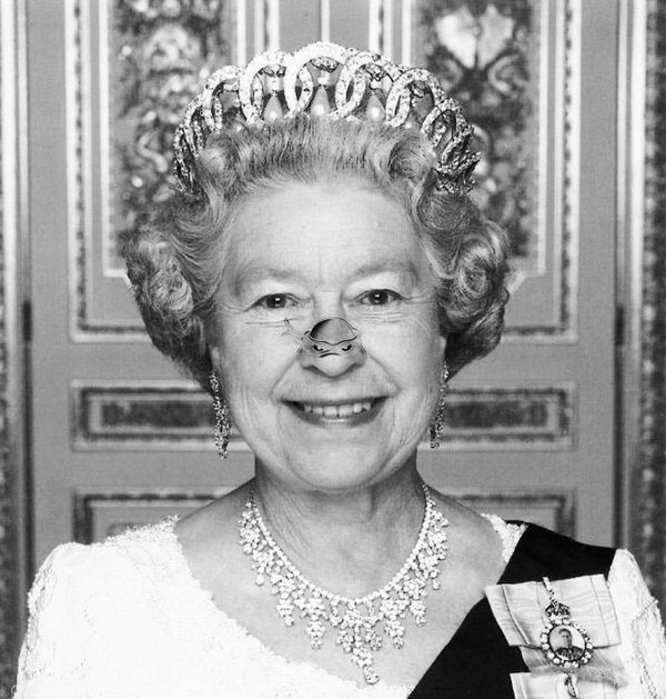 ��� ������