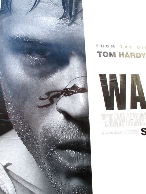 ��� ������