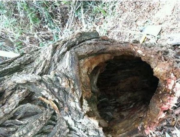 � ����� � ������