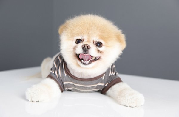 ����� ���������� ���