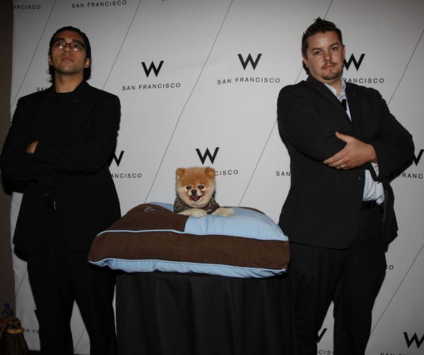 ����� ���������� ���