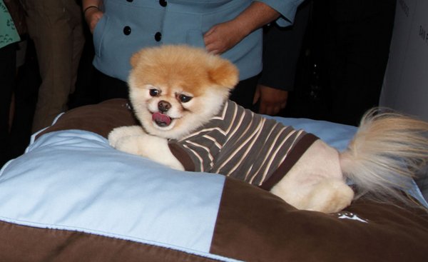 ����� ���������� ���