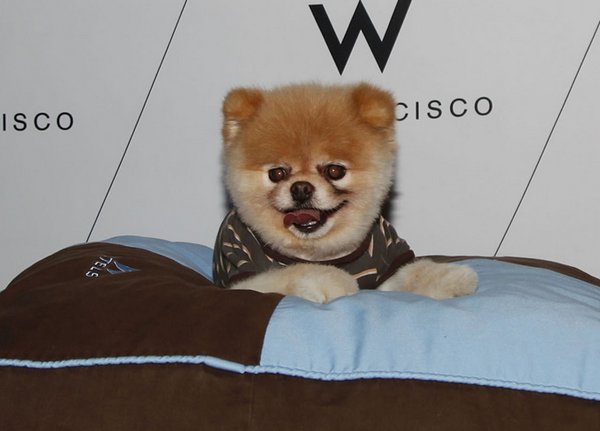 ����� ���������� ���