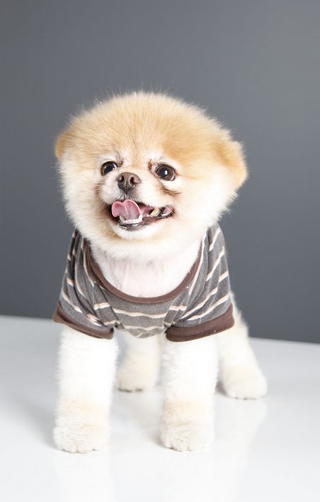 ����� ���������� ���