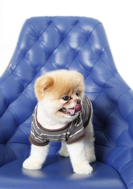 ����� ���������� ���