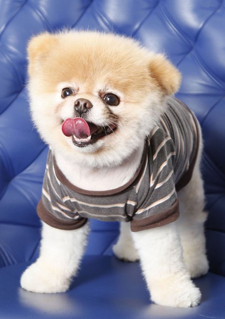 ����� ���������� ���