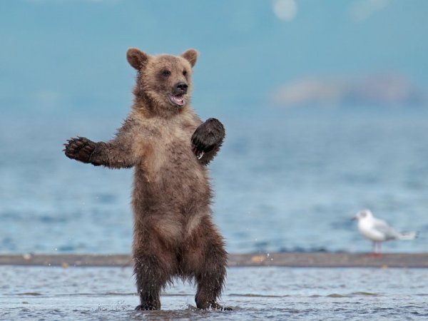 �������