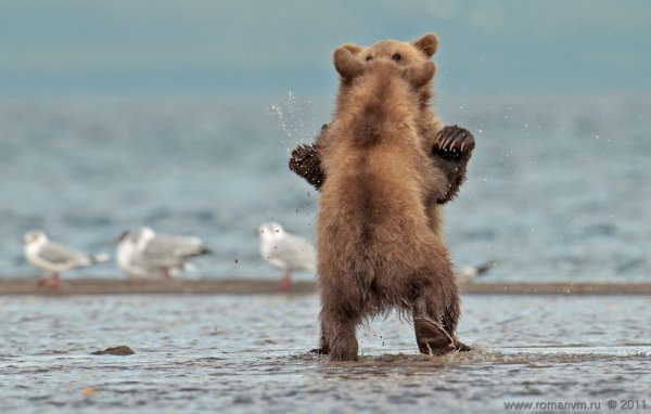 �������