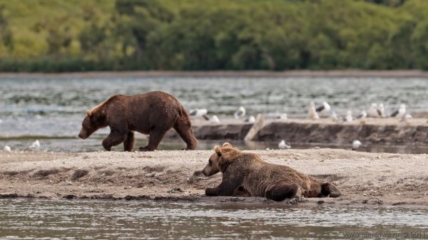 �������