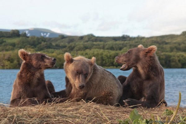 �������