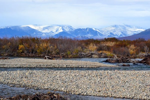 ��������� �����