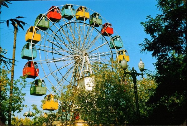 ������ 1956