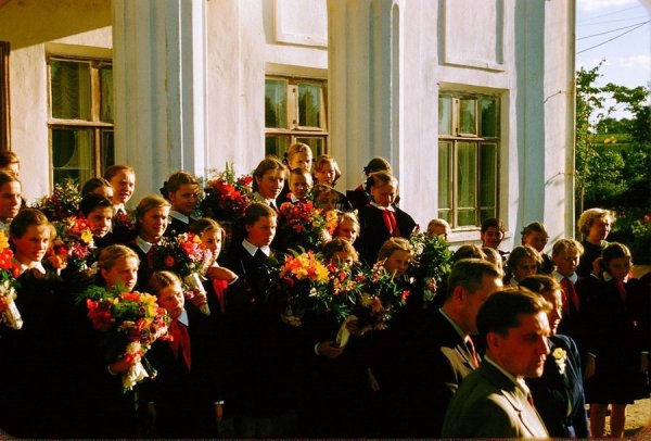 ������ 1956